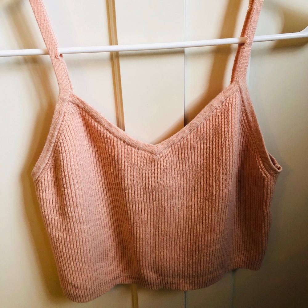 Blush Forever 21 Crop Top